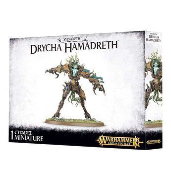 Игровой набор GW - Age of Sigmar: Sylvaneth - Drycha Hamadreth 99120204017 фото