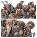 Ігровий набір GW - Chaos Marauders Army Reinforcement Set