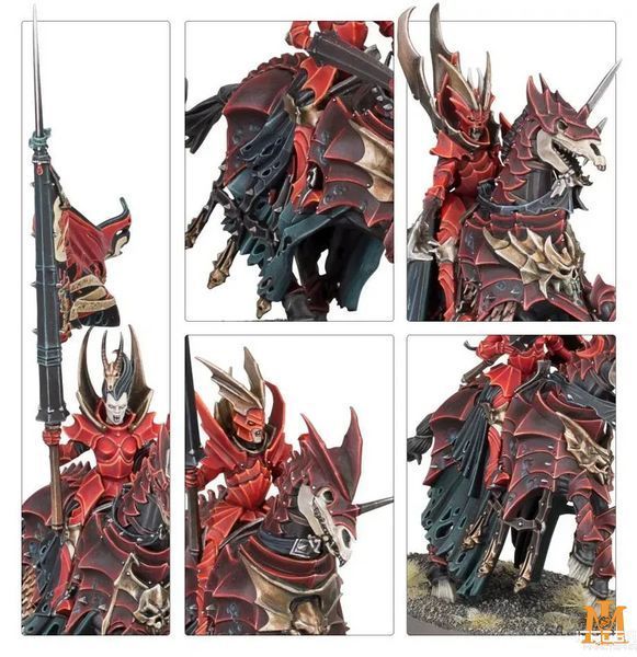 Игровой набор GW - Age of Sigmar: Vanguard - Soulblight Gravelords 99120207187 фото