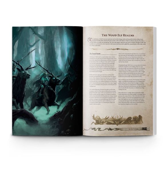 Книга GW - WARHAMMER. THE OLD WORLD: FORCES OF FANTASY (ENG) 60042799004 фото