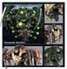 Игровой набор GW - Warhammer 40000: Necrons - Canoptek Wraiths 99120110060 фото 6