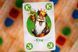 Настольная игра IELLO - The Dwarf King (Англ) 51901 фото 4