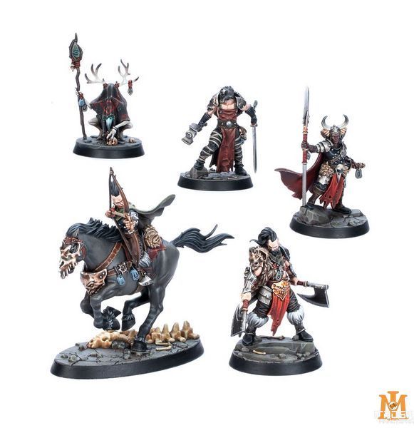 Игровой набор GW - Age of Sigmar: Slaves to Darkness - Darkoath Brands Oathbound 99120201178 фото