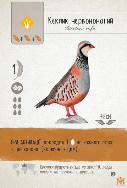 Настольная игра Игромаг - Крылья: Птицы Европы / Wingspan: European (дополнение) (Укр) 000005191 фото