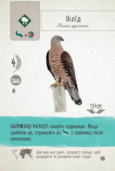 Настольная игра Игромаг - Крылья: Птицы Европы / Wingspan: European (дополнение) (Укр) 000005191 фото