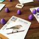 Настольная игра Игромаг - Крылья: Птицы Европы / Wingspan: European (дополнение) (Укр) 000005191 фото 4