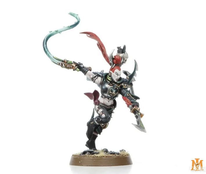Ігровий набір GW - Warhammer 40000: Start Collecting! Drukhari 99120112036 фото