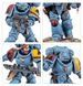 Игровой набор GW - Warhammer 40000: Space Wolves - Grey Hunters 99120101433 фото 3