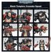 Игровой набор GW - Warhammer 40000: Black Templars - Primaris Crusader Squad 99120101351 фото 3