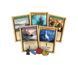 Настольная игра Fantasy Flight Games - A Game of Thrones: Catan: Brotherhood of the Watch (Англ) CN3015 фото 5