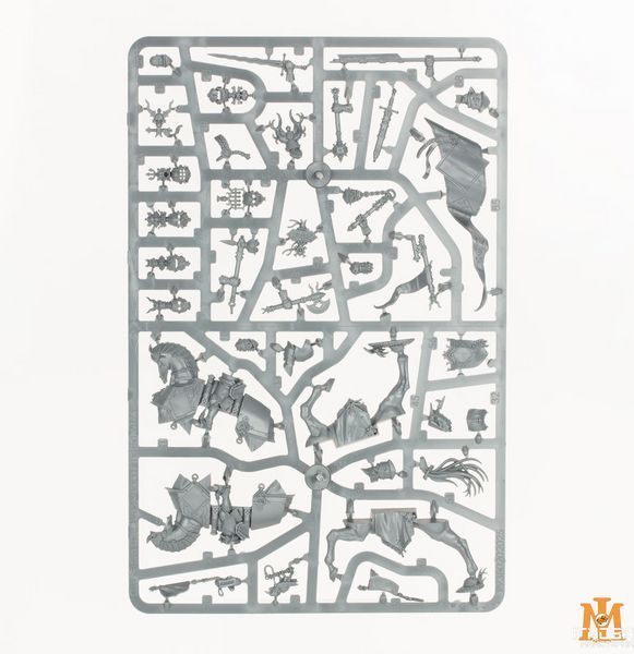 Игровой набор GW - Age of Sigmar: Spearhead - Cities of Sigmar 99120202050 фото