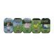 Настольная игра Pok&eacute;mon TCG - Pok&eacute;mon Go Mini Tin Display (10) (Англ) 210-85046 фото 1