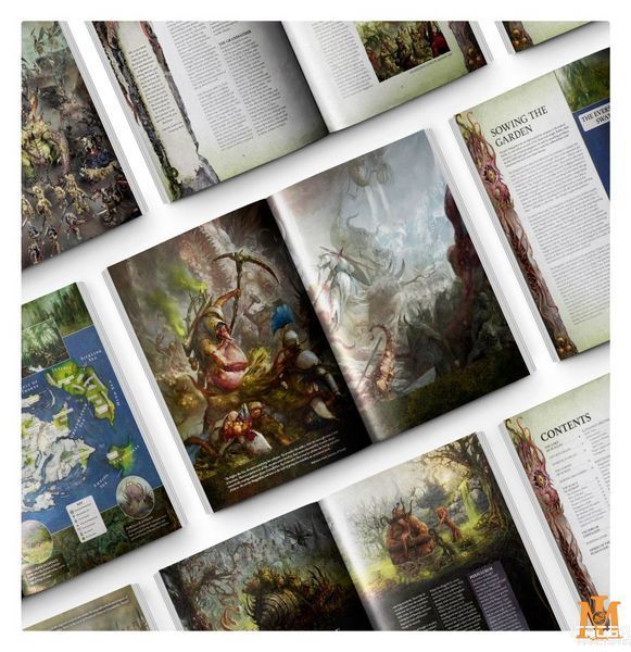 Книга GW - Age of Sigmar: Chaos Battletome - Maggotkin of Nurgle (Hb) (Eng) 60030201025 фото
