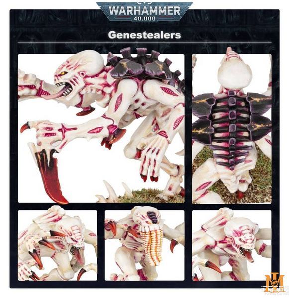Игровой набор GW - Warhammer 40000: Tyranids - Genestealers 99120106051 фото