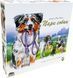 Настольная игра Games7Days - Парк собак / Dog Park (Укр) DP001U фото 1