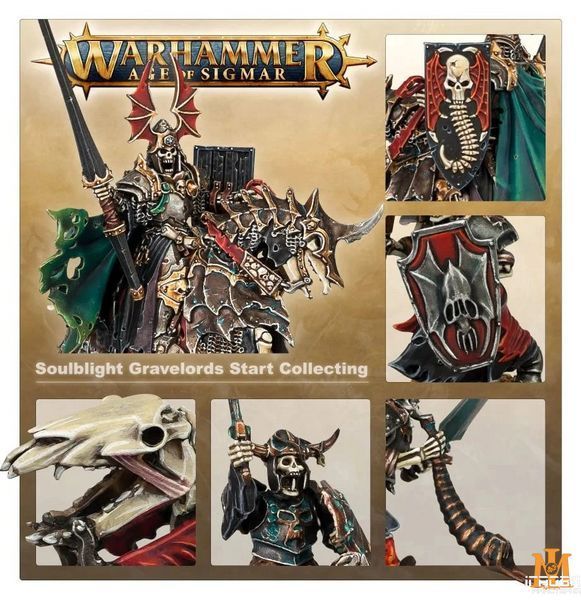 Ігровий набір GW - Age of Sigmar: Start Collecting! Soulblight Gravelords 99120207096 фото