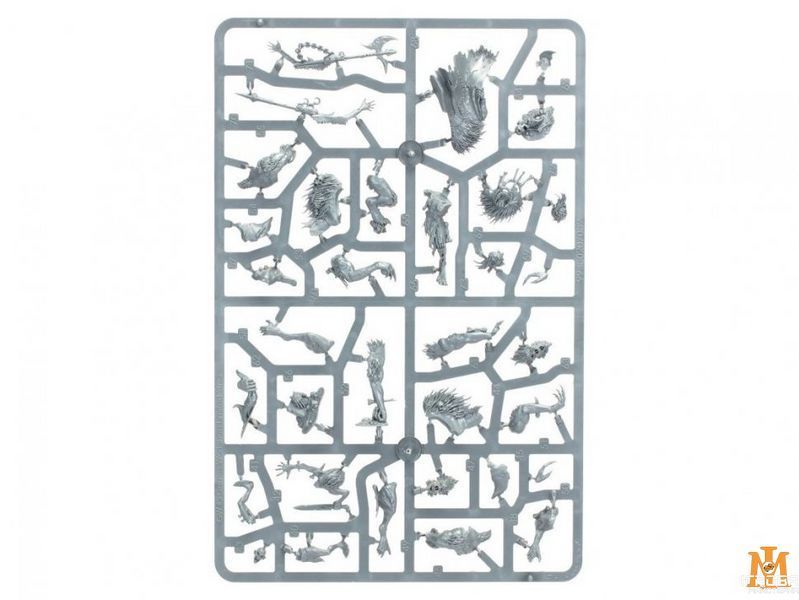 Игровой набор GW - Age of Sigmar. Warcry: Royal Beastflayers 99120207136 фото