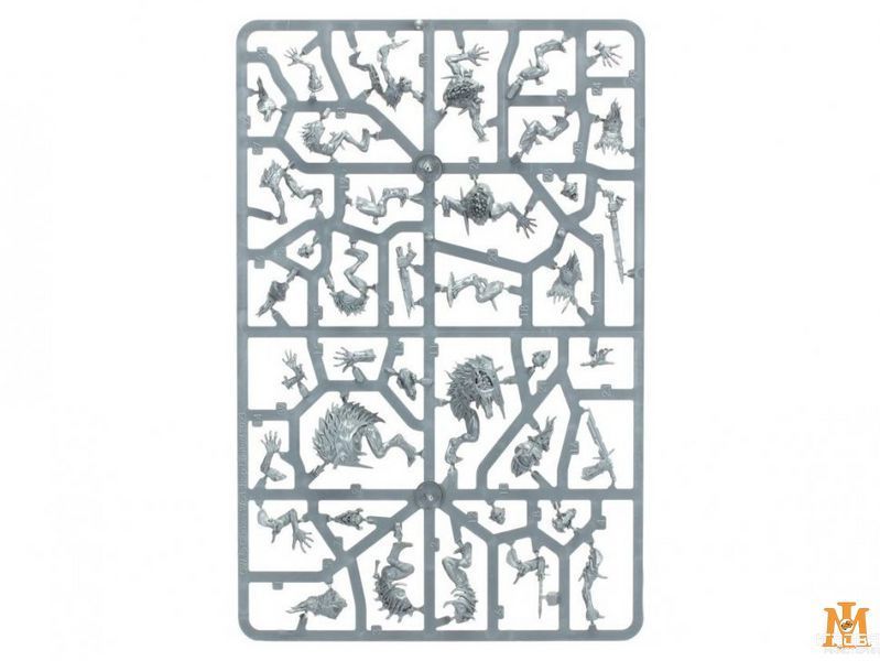 Игровой набор GW - Age of Sigmar. Warcry: Royal Beastflayers 99120207136 фото