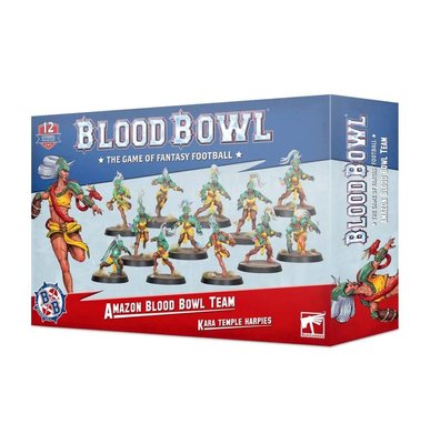 Набір мініатюр Amazon Blood Bowl Team: Kara Temple Harpies 99120999016 фото