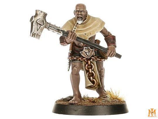 Игровой набор GW - Age of Sigmar. Warcry: Heart of Ghur (Eng) 60010299035 фото